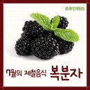 세종황제슈퍼