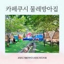 카페쿠시 | 청도 가볼만한 곳 계곡 카페 카페쿠시 이용후기 ( 자리추천, 준비물, 놀이시설, 식음 종류 등)