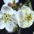 지혜의샘 이미지