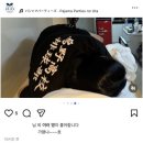 직대딩 「성신여대 경영학과 1학년 1학기 후기」 - 在学後期, 2026 06