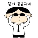 오늘의 강아지 이미지