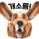 59쌀피자목행점