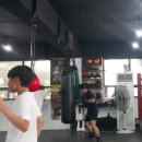 와룡복싱 이미지