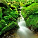 형제목장 이미지