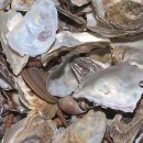 경남수산 이미지