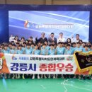 도민스포츠