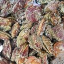 래아수산 이미지