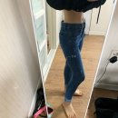 저단23 Daum카페