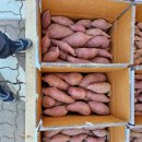 주영농산 이미지