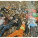 보고유치원 이미지