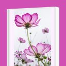 한낮의 꿈 이미지