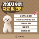 왜관동물병원 이미지