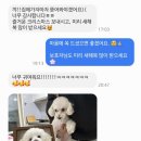 도그아트 | 홍성 양모펠트 공방 리펫 │ 도그캠프마켓 추첨 제작 후기 (강아지 액자 , 강아지 키링)