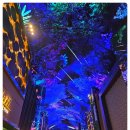 핑크고래 | 인천 영종도 인스파이어 아레나 호캉스 오로라 핑크고래 무료 가볼만한곳