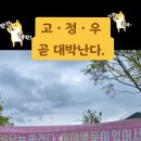 어야둥둥 Daum카페