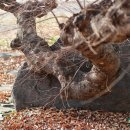 신포마을 이미지