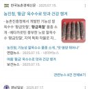 한농종묘사 이미지