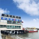 해운대유람선