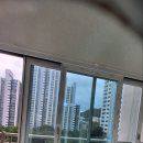 둥지크리닝 이미지