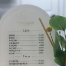 성지텔 | [파뿌리 리뷰] 의정부속눈썹펌, 의정부속눈썹, 의정부속눈썹연장 잘하는 곳, 오래도록 유지되는 곳...