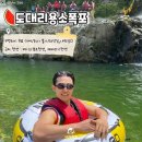 용소폭포 해바라기 Daum카페