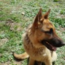 혜영농장 이미지