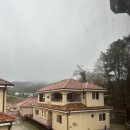 숲;79펜션 이미지