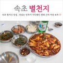별천지칼국수 | 속초 현지인 맛집 별천지 실내 포장마차 감성 야장 술집 (feat. 내돈내산)