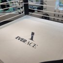 에버에이스 복싱 BOX-1 덕은 이미지