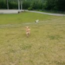 곰탱이PC 이미지