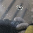 봉동자동차유리 이미지