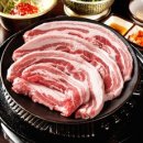 칠레포크 티스토리