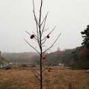 태수농장 이미지