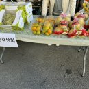 단감상회 이미지