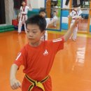 경희대성웅태권도 이미지