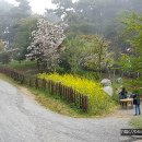 최치원 유적지 이미지