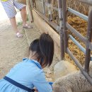 다은목장 이미지