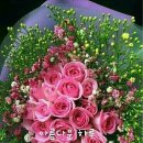 연예인(방송인)의 나이 이미지