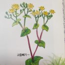 차량등록사업소 화장실 이미지