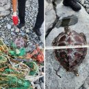 수산1구 이미지