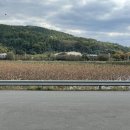 할매손국시 이미지