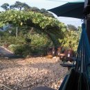 여름농장 이미지