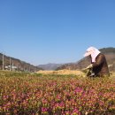 석암농장 이미지