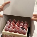 델리카한스 이미지