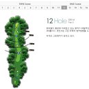 도그버디청주점 | [이븐데일cc] 청주 이븐데일골프&리조트 아쉬웠고 재미있던 라운딩 후기 리뷰