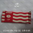 BSC팜2 | 호주간호 ㅣ 최고의 프로틴바를 찾아서