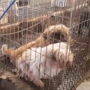 되고개농장 이미지