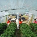 금마농장 이미지