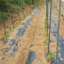 (주)호성 이미지