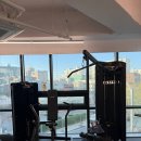 마이PT | 마이피티스튜디오 가락동pt 찾다가 시작한 후기!